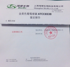 Hyphomonasrosenbergivi ATCC43869 冻干粉 包邮