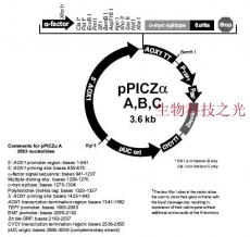 pPICZαB 质粒 毕赤酵母质粒 组氨酸标签 包邮