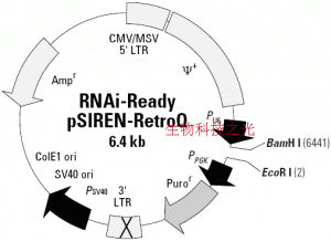 pSIREN RetroQ-Zs Green 慢病毒干扰载体 包邮