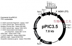pPIC3.5 毕赤酵母质粒 DNA 蛋白表达 质粒构建 包邮