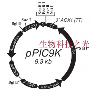 pPIC9.0K 毕赤酵母质粒 分泌表达 蛋白表达 包邮