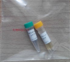 pGEX-4T-3 谷胱甘肽 GST标签质粒 包邮