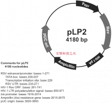 质粒载体 pLP2 慢病毒辅助载体 包邮