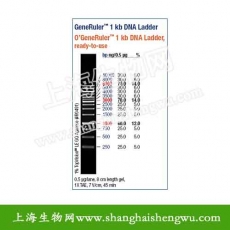 GeneRuler 1 kb DNA Ladder 5×50 µg SM0311 Fermentas