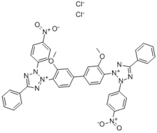 生化试剂 氯化硝基四氮唑蓝 CAS 298-83-9 REBIO R12000151
