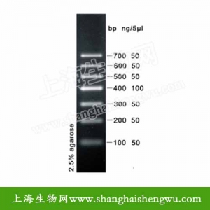 核酸电泳 DNA Marker I plus 50T 250ul DNA Marker R04019