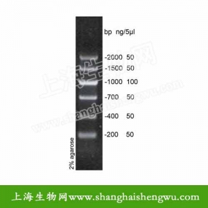 核酸电泳 DNA Marker V 50T 250ul DNA Marker 分子量标准 R04034