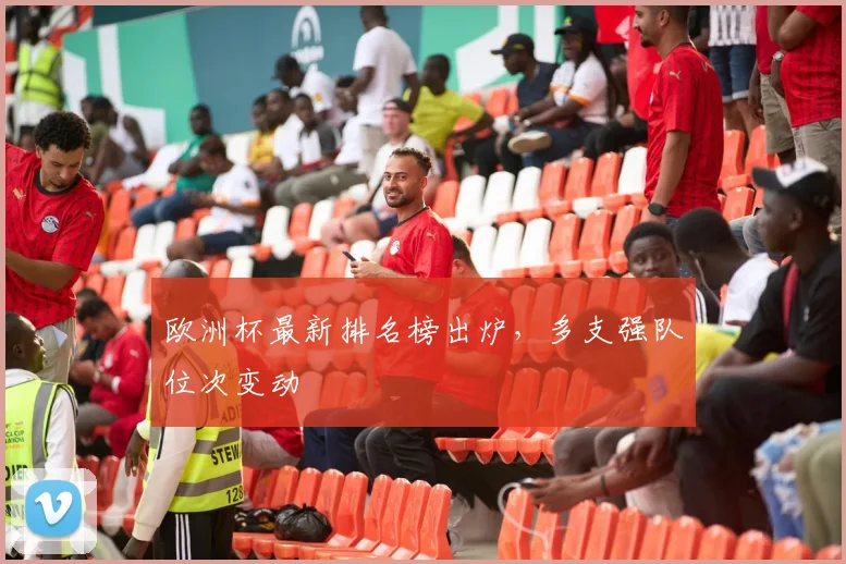 欧洲杯最新排名榜出炉,多支强队位次变动