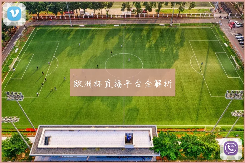 欧洲杯直播平台全解析