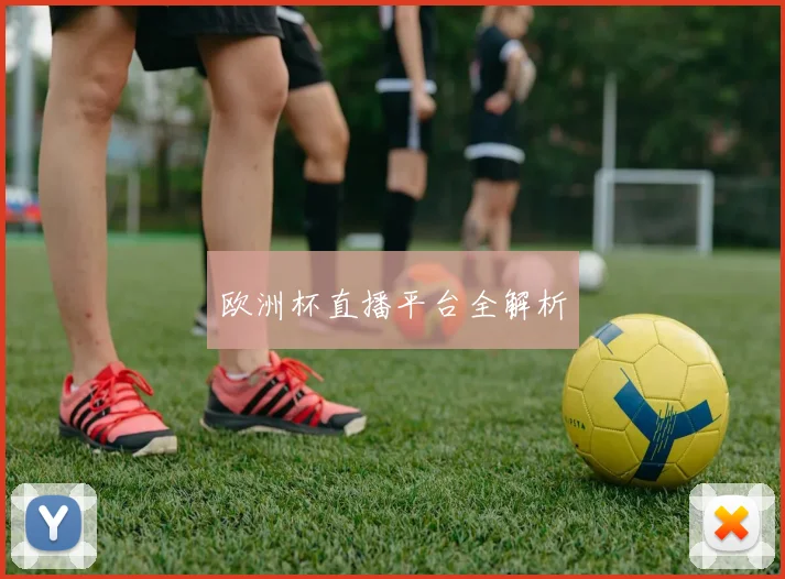 欧洲杯直播平台全解析