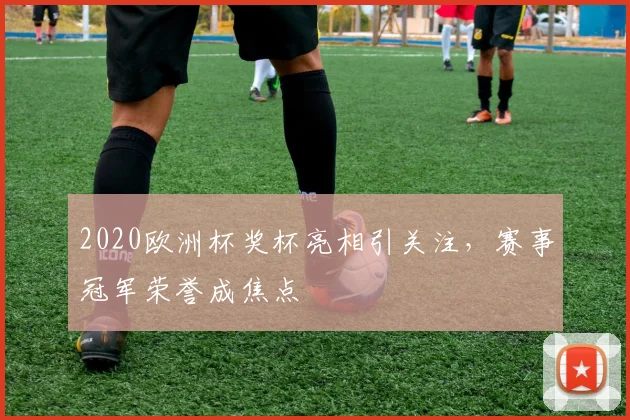 2020欧洲杯奖杯亮相引关注，赛事冠军荣誉成焦点
