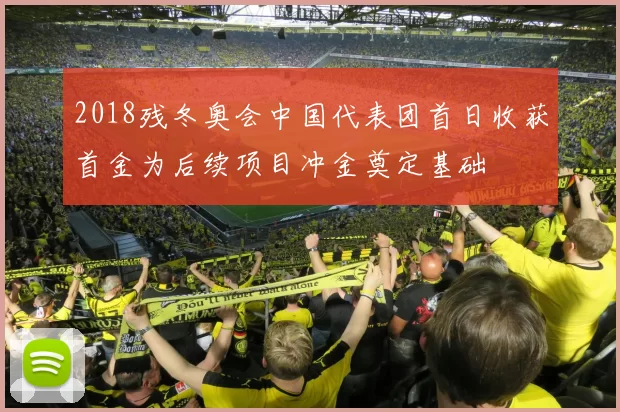 2018残冬奥会中国代表团首日收获首金为后续项目冲金奠定基础