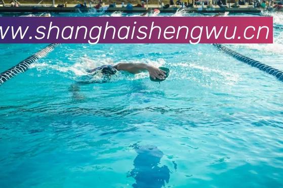 奖项3